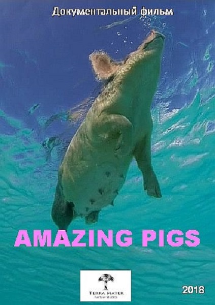 Удивительные свиньи / Amazing Pigs / Die fabelhafte Welt der Schweine (2018) HDTV 1080i
