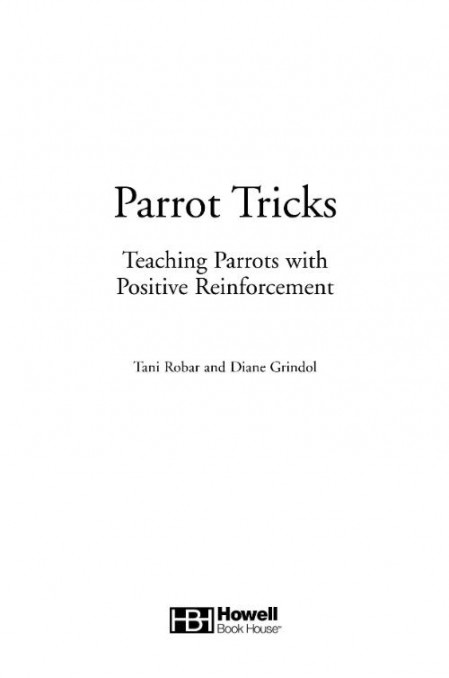 Parrot Tricks - Teaching Parrots with Positive Reinforcement