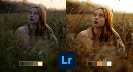 What Makes a Good Photo: A Beginners Guide to Editing in Lightroom