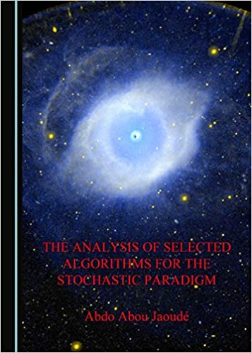 The Analysis of Selected Algorithms for the Stochastic Paradigm