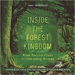 Inside the Forest Kingdom   From Peculiar Plants to Interesting Animals