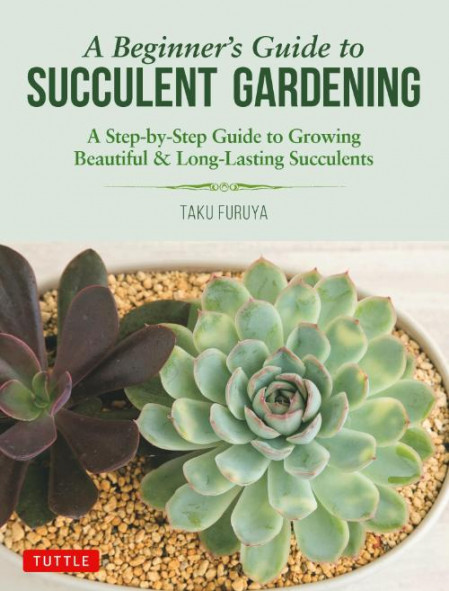 A Beginner's Guide to Succulent Gardening