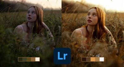 What Makes a Good Photo A Beginners Guide to Editing in Lightroom