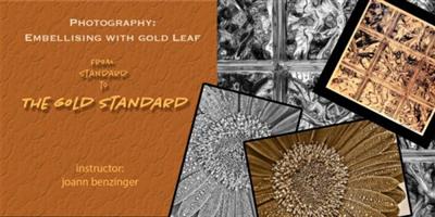 SkillShare - Photographic Embellishments Printing on Vellum & Gold Leaf