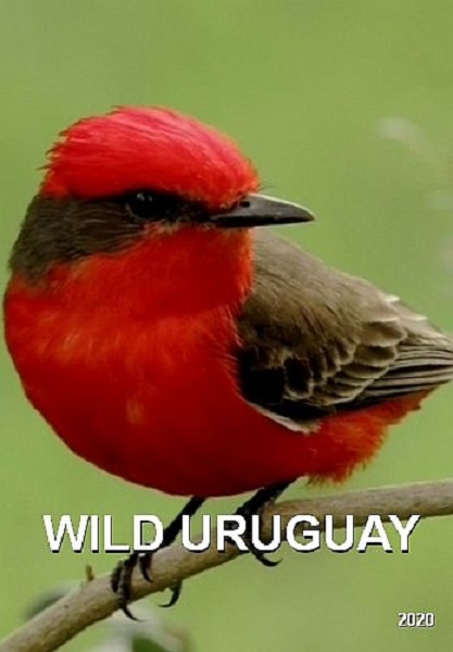   / Wild Uruguay (2020) DVB