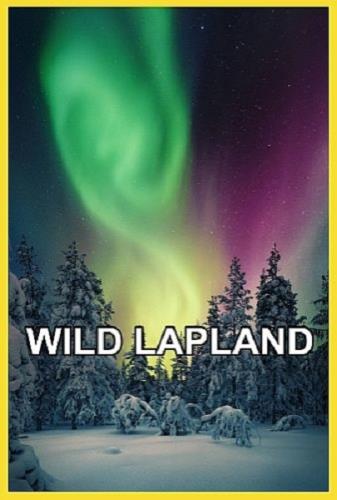 Дикая Лапландия / Wild Lapland (2019) HDTV 1080i