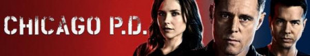 Chicago PD S08E05 In Your Care 1080p HDTV x264-aFi