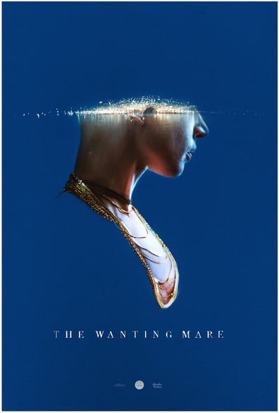 The Wanting Mare 2021 HDRip XviD AC3-EVO