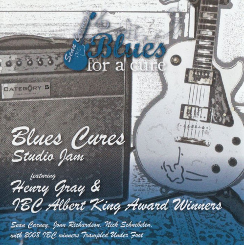 Sean Carney's Blues For A Cure - Blues Cures Studio Jam (2009) [lossless]