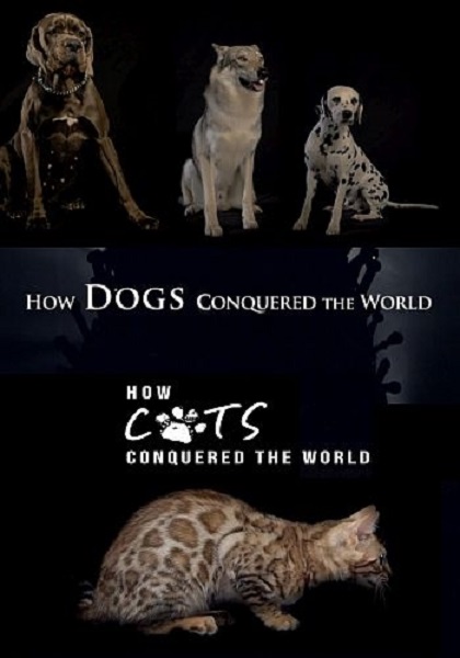 Как собаки и кошки захватили мир / How Dogs And Cats Conquered The World (2020) HDTVRip 720p