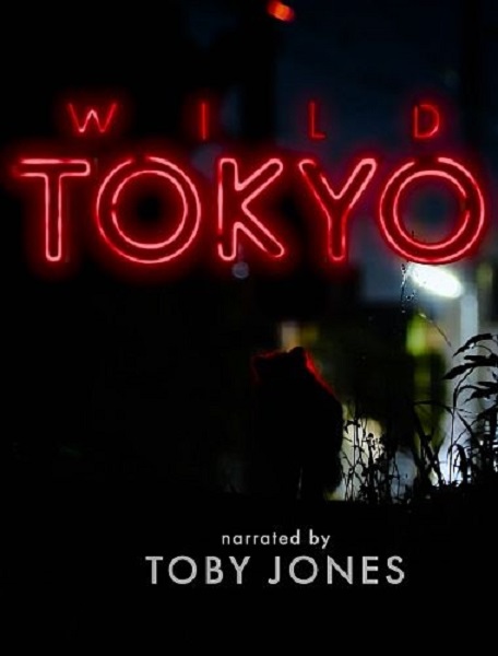 Дикий Токио / Wild Tokyo (2020) HDTV 1080i