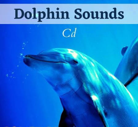 Calm Music Sound - Dolphin Sounds Cd - Relaxing Music (2021)