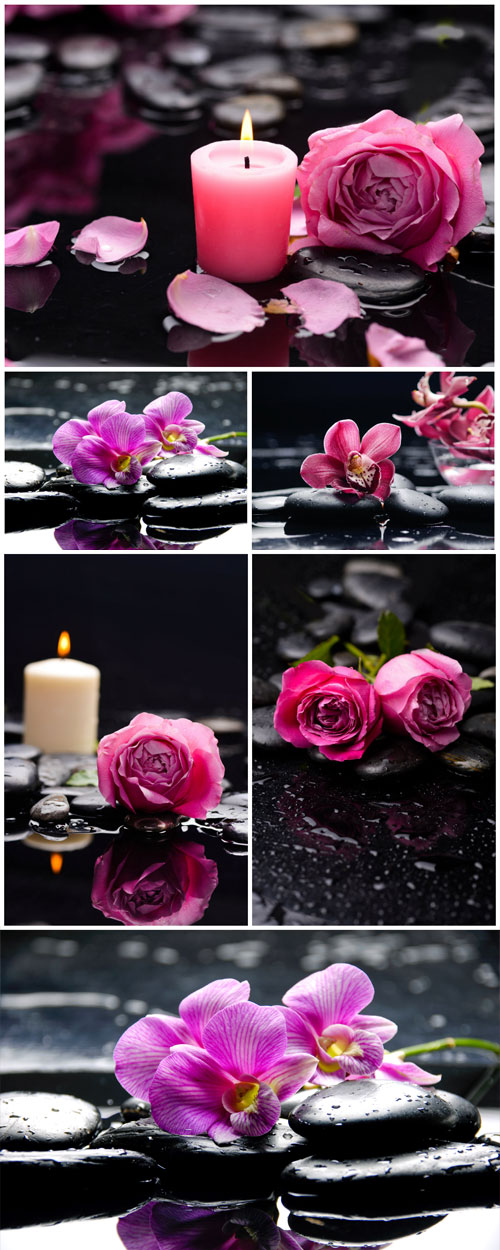 Candles, spa stones, orchids and roses stock photo