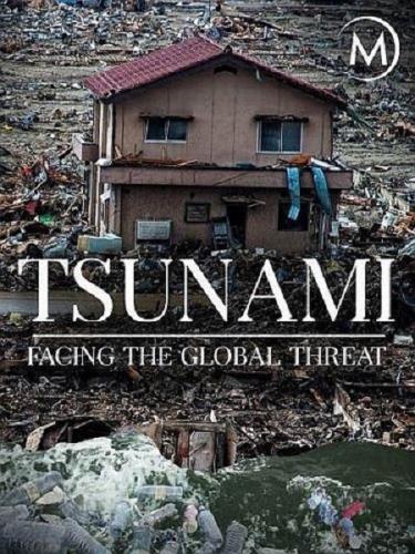 Цунами. Перед лицом глобальной угрозы / Tsunamis: Facing a Global Threat (2019) HDTVRip 720p
