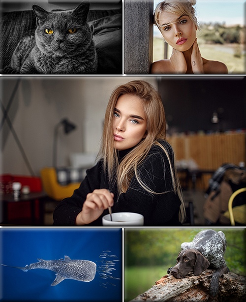 LIFEstyle News MiXture Images. Wallpapers Part (1783)