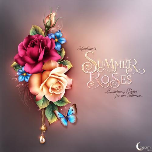 Moonbeam's Summer Roses