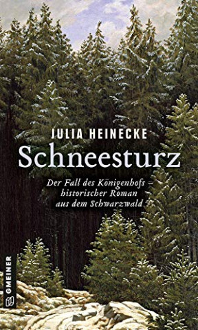 Julia Heinecke - Schneesturz – Der Fall des Königenhofs