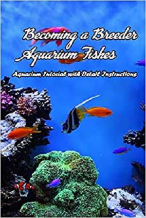 Becoming a Breeder Aquarium Fishes: Aquarium Tutorial with Detail Instructions: Build Aquarium