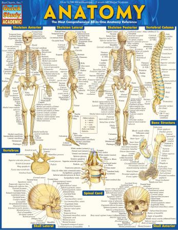 Anatomy (Quick Study Academic), 2003 Edition