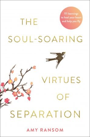The Soul Soaring Virtues of Separation: 111 Learnings to Heal Your Heart and Help You Fly