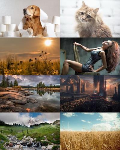Wallpapers Mix №872