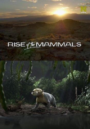 Расцвет млекопитающих / Rise of the Mammals (2019) HDTV 1080i