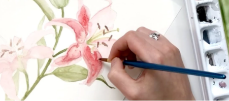 Lilies in Watercolor. How to Paint Lilies in Watercolor