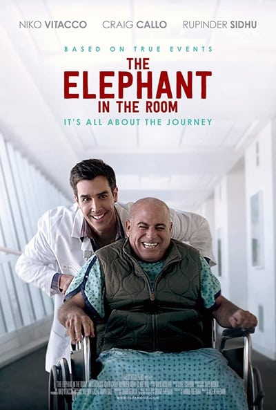 The Elephant in the Room 2020 1080p AMZN WEBRip DD5 1 X 264-EVO