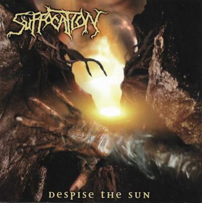 Suffocation - Despise The Sun (2013)