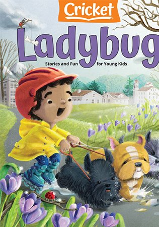 Ladybug   March 2021