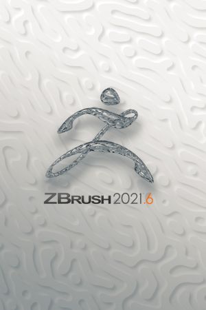 Pixologic ZBrush 2021.6.2 (x64) Multilingual