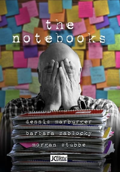 The Notebooks 2021 1080p AMZN WEBRip DD2 0 X 264-EVO