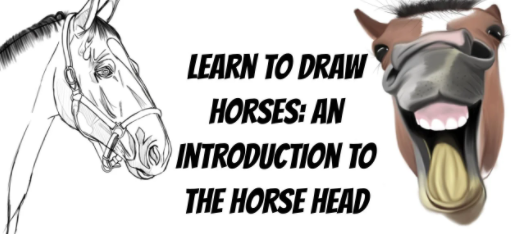 Learn To Draw Horses: An Introduction To The Horse Head