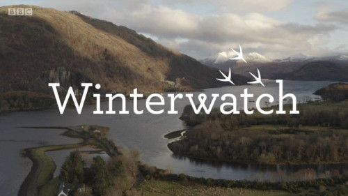 BBC - Winterwatch Extras (2021)