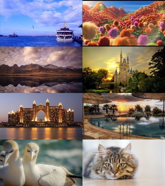 Wallpapers Mix №882