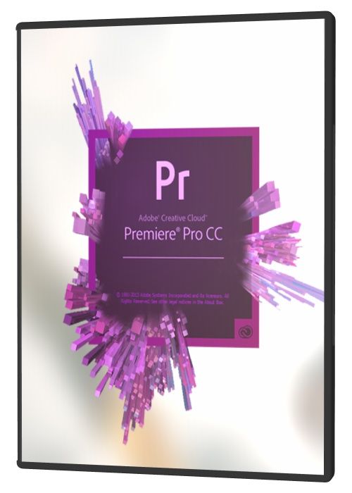   Adobe Premiere Pro (2020)