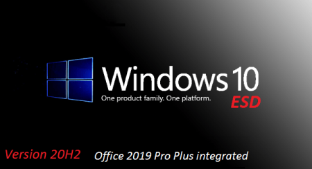 Windows 10 x64 Pro Version 20H2 Build 19042.867 incl Office 2019 Pro Plus en-US March 2021