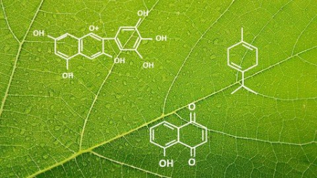 Introduction to the Science of Plant Chemistry