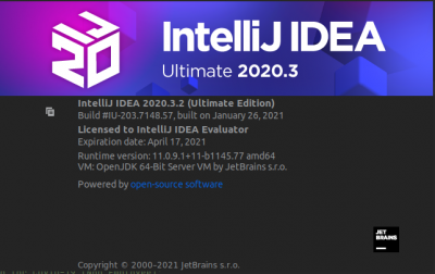 JetBrains IntelliJ IDEA Ultimate 2020.3.3 (x64)