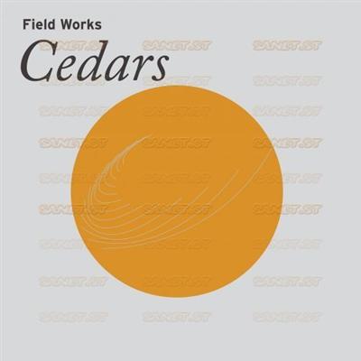 Field Works   Cedars (2021) Mp3