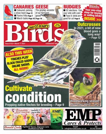 Cage & Aviary Birds   17 March 2021