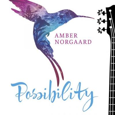 Amber Norgaard - Possibility (2015)