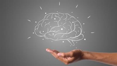 Udemy - Neuroplasticity How To Rewire Your Brain 2021