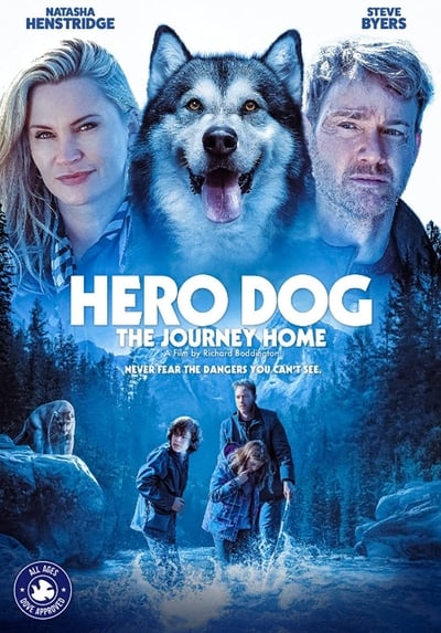 Hero Dog The Journey Home 2021 720p WEBRip x264-GalaxyRG