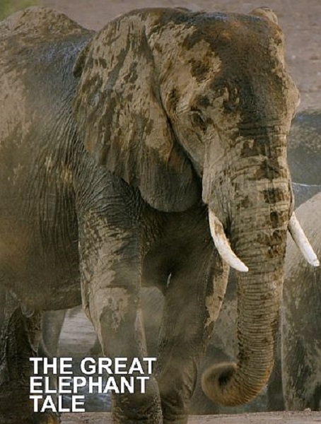 Потрясающие истории слонов / The Great Elephant Tale (2020) UHDTV 2160p