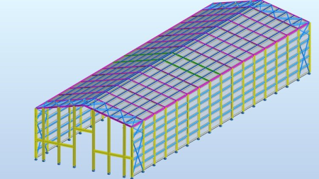 Autodesk Robot Steel Structure Modeling Analysis and Design