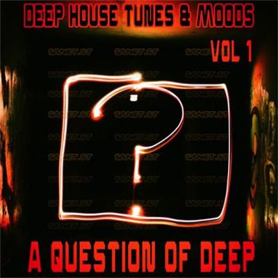 Various Artists   A Question of Deep Vol 1 (Deep House Tunes & Moods) (2021)