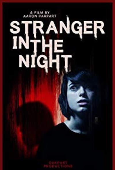 Stranger in the Night 2019 720p WEBRip Dual-Audio x264-1XBET