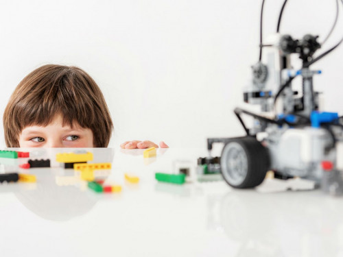 Какие кубики LEGO купить ребенку?