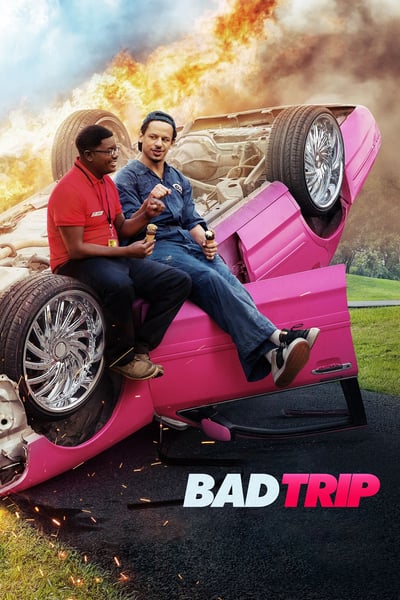 Bad Trip (2020) 1080p WEBRip x264 Dual Audio AC3 - MeGUiL